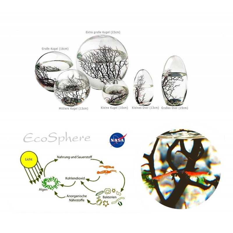 Ecosphere Europe Wissenschaft Hersteller Nasa Biosphere