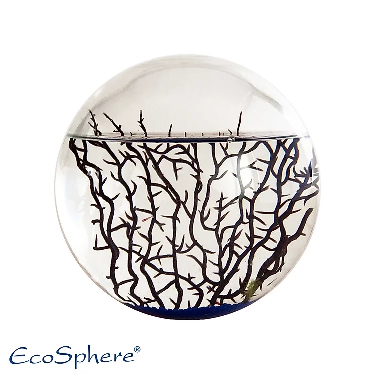 Ecosphere Mini Aquarium 23cm Kugel mit Garnelen